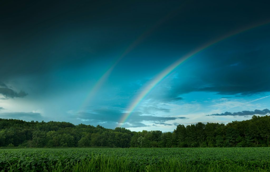 Recovery and empowerment